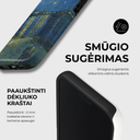 Telefono dėkliukas - Žvaigždėta naktis virš Ronos