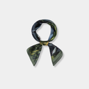 Sidenscarf - Žemaitijas nationalpark