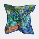 Vincent van Gogh - Irisai